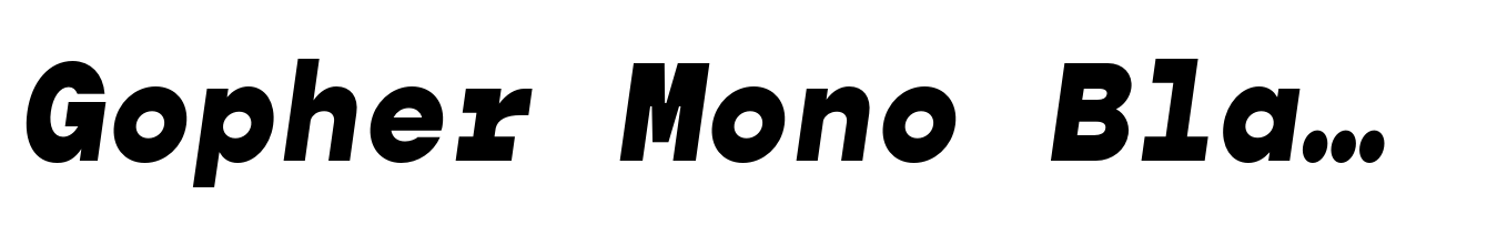 Gopher Mono Black Italic